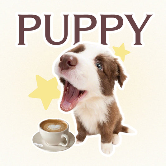 Sappho from lesbos Puppy Finger Condom, Waffle Pattern, 16 count