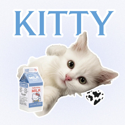 Sappho from lesbos Kitty Finger Condom, Honeycomb Pattern, 16 count